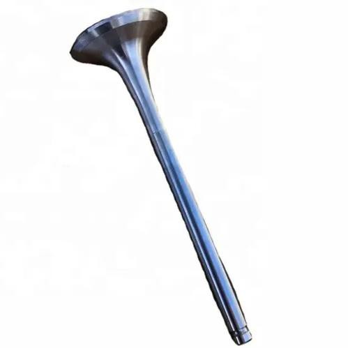 Ispušni ventil 612600050025 za WD10 motor