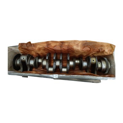 1005014-81DB montaža radilice